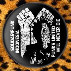 Solidaripunk 1