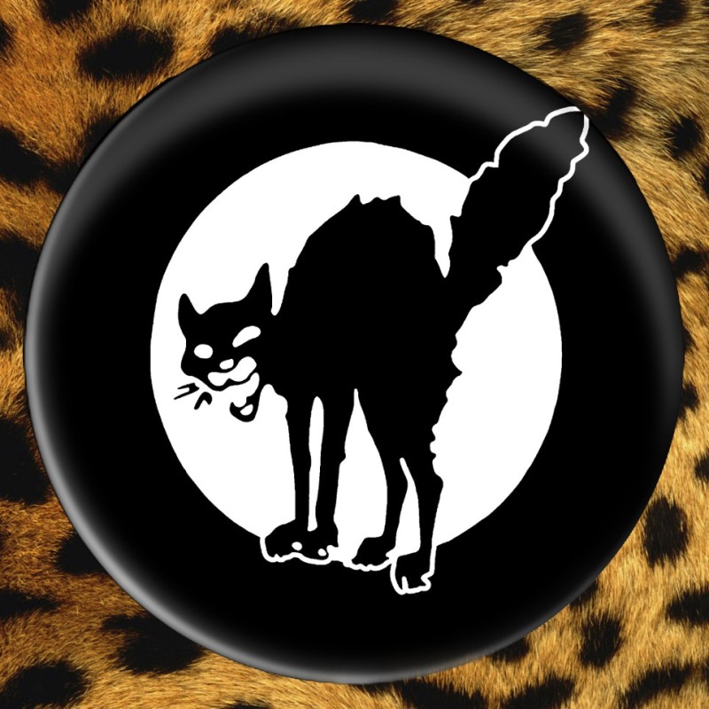 Chat Noir
