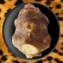 Topinambour