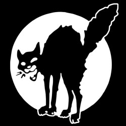 Chat Noir, sweat capuche noir.