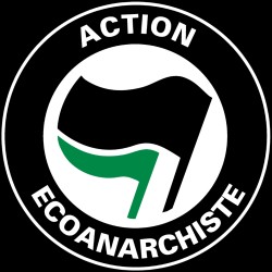 ACTION ECO-ANARCHISTE sweat capuche en coton bio equitable