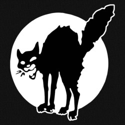 Chat Noir, t-shirt noir, enfant.