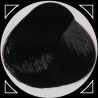 EBONY teinture cheveux LaRiché