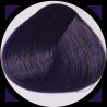 PLUM teinture cheveux LaRiché