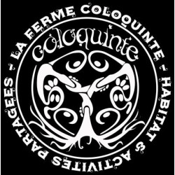 Les Mauvais Garcons Fond Bonne Impression Coloquinte Sweat Zip Unisexe coton-bio équitable