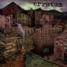 Les Mauvais Garcon Font Du Bon Son Erratum LP