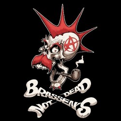 BRASSEN'S NOT DEAD Coyote 3 Sweat Capuche en coton bio équitable