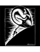 DROOKER Sister Sisyphus