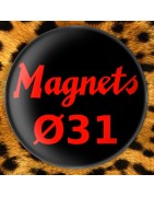 Magnets Ø31mm